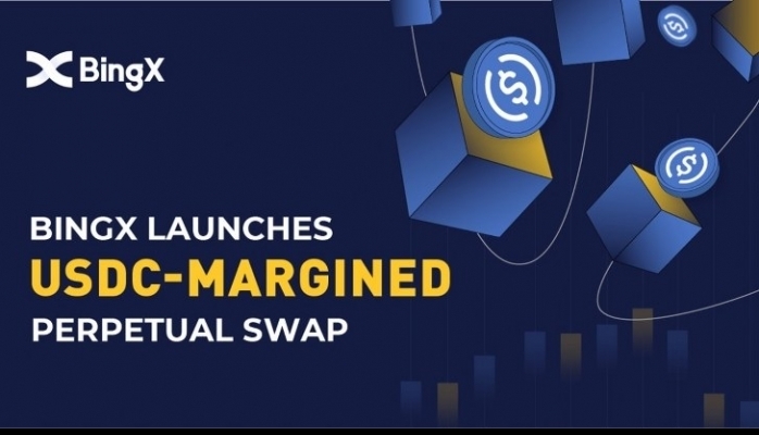 Bingx  Kullanıcıları İçin USDC Marjlı Perpetual Swap Sunuyor