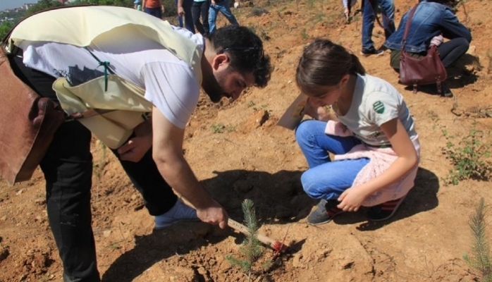 Bir yılda 116 bin fidan dikildi 
