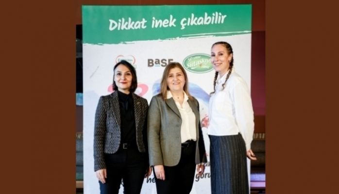 SÜTAŞ'ın Mutlu İnekleri Sanatçıların Tasarımları İle Şehre Geldi