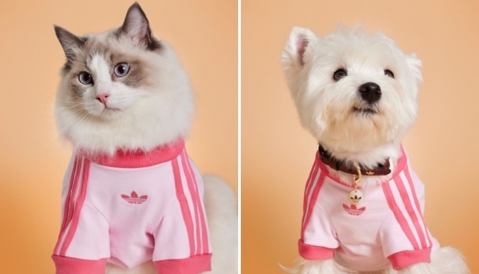 adidas Originals Yeni Pet Koleksiyonu Satışta