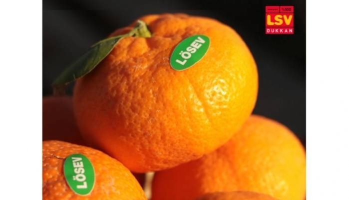 “LÖSEV Doğal Satsuma Mandalinaları” Sağlıklı Beslenmede Sembol Haline Geldi