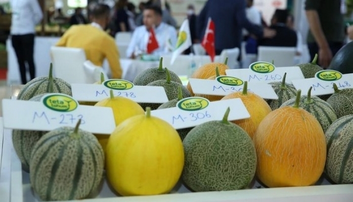 Growtech İçin Geri Sayım Başladı