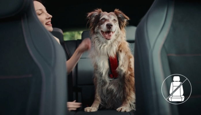 Mercedes-Benz Türkiye ve HAÇİKO'dan Köpeklere Özel Güvenli Yolculuk Filmi: “İlk Yolculuk” 