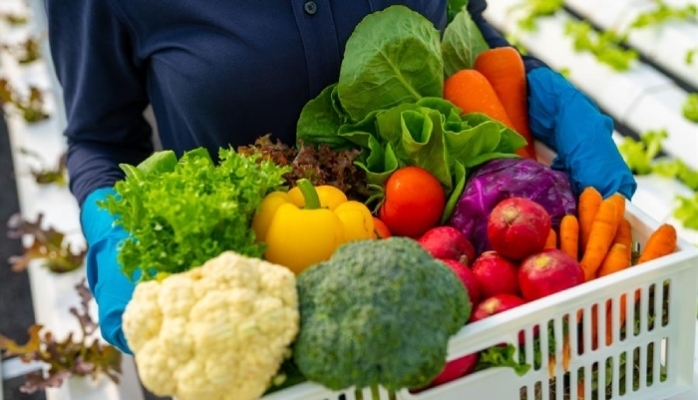 2025 Beslenme Alışkanlıklarımızı Yeniden Şekillendirdi