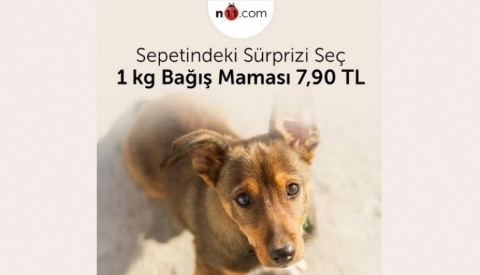 n11.com’dan 26 Ağustos Dünya Köpek Günü'ne Özel Bağış Kampanyası !