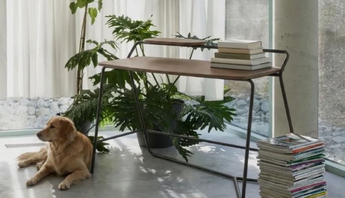 IQON İle Doğa Odaklı Düşünme ve Yaratım Alanları