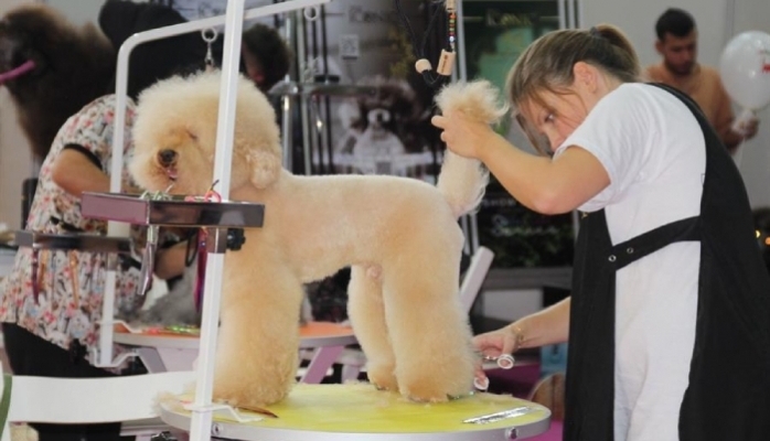 Pet İzmir 2026 Fuarı - Evcil Hayvan Sektörünün Buluşma Noktası 